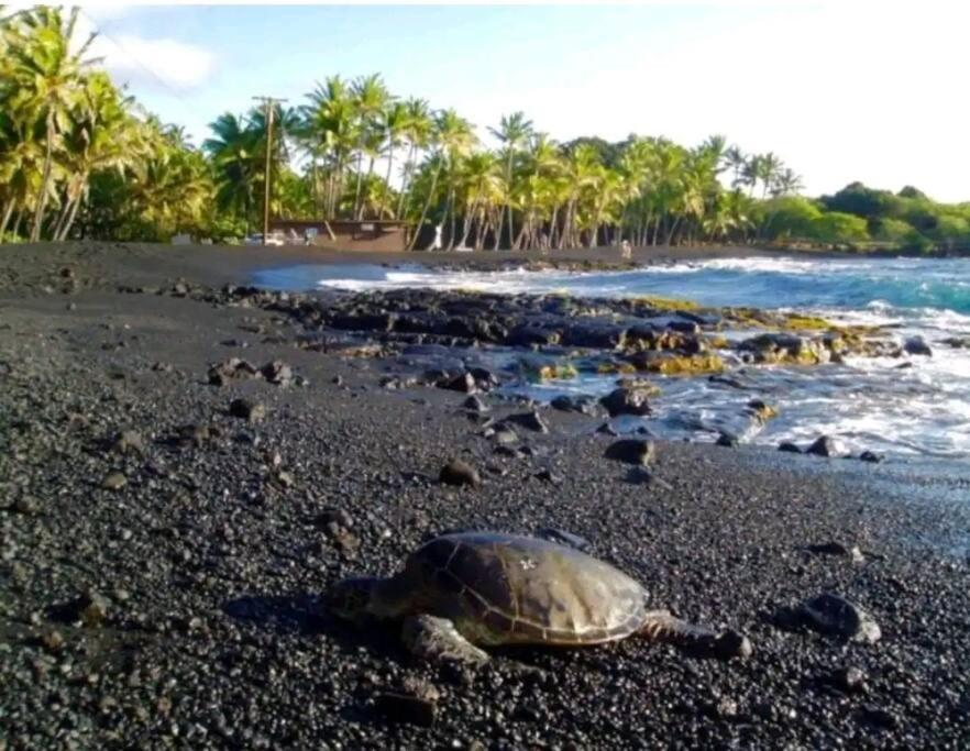 볼케이노 Kilauea Iki- Hale Kumu La'Au 아파트 외부 사진