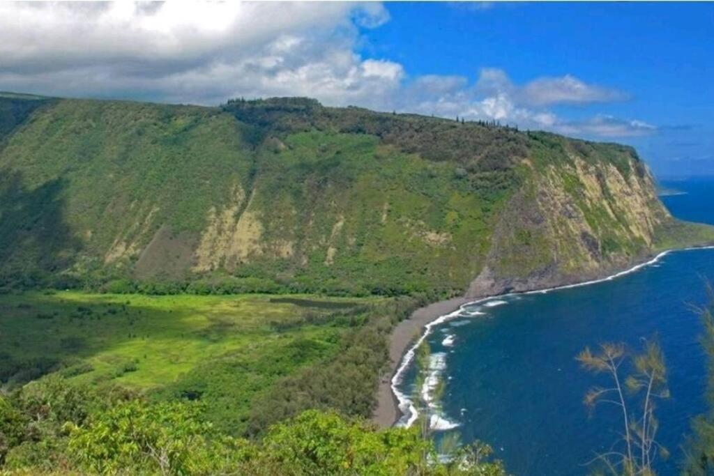 볼케이노 Kilauea Iki- Hale Kumu La'Au 아파트 외부 사진
