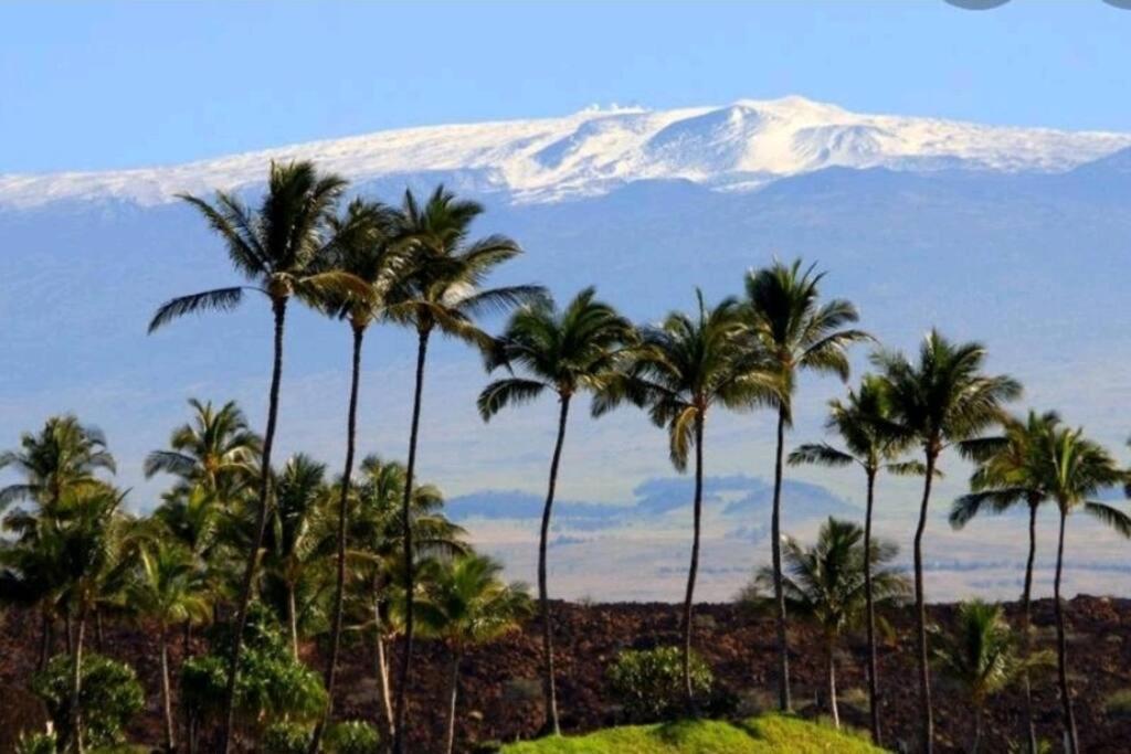볼케이노 Kilauea Iki- Hale Kumu La'Au 아파트 외부 사진