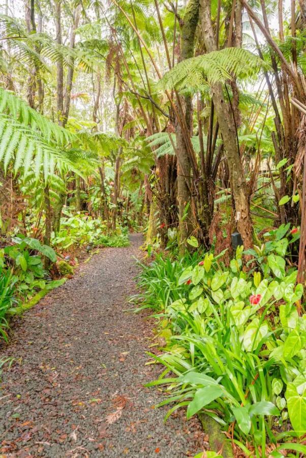 볼케이노 Kilauea Iki- Hale Kumu La'Au 아파트 외부 사진